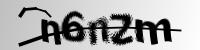 ֤
